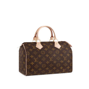 M41109 SPEEDY 25 handbag